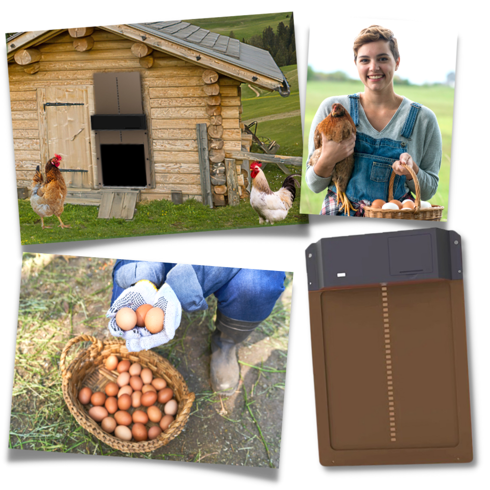 Porta automática para poulailler Wacanda de cor marron, ideal para sistemas de criação e manejo de aves.