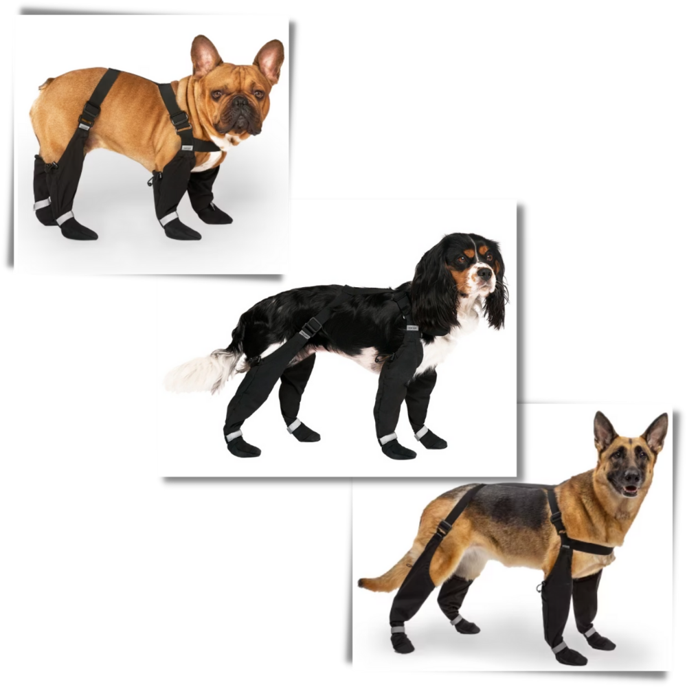 Bottes à bretelles imperméáveis para cães, acessório resistente e prático para proteger as patas do seu cachorro.
