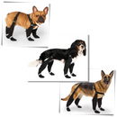 Bottes à bretelles imperméáveis para cães, acessório resistente e prático para proteger as patas do seu cachorro.
