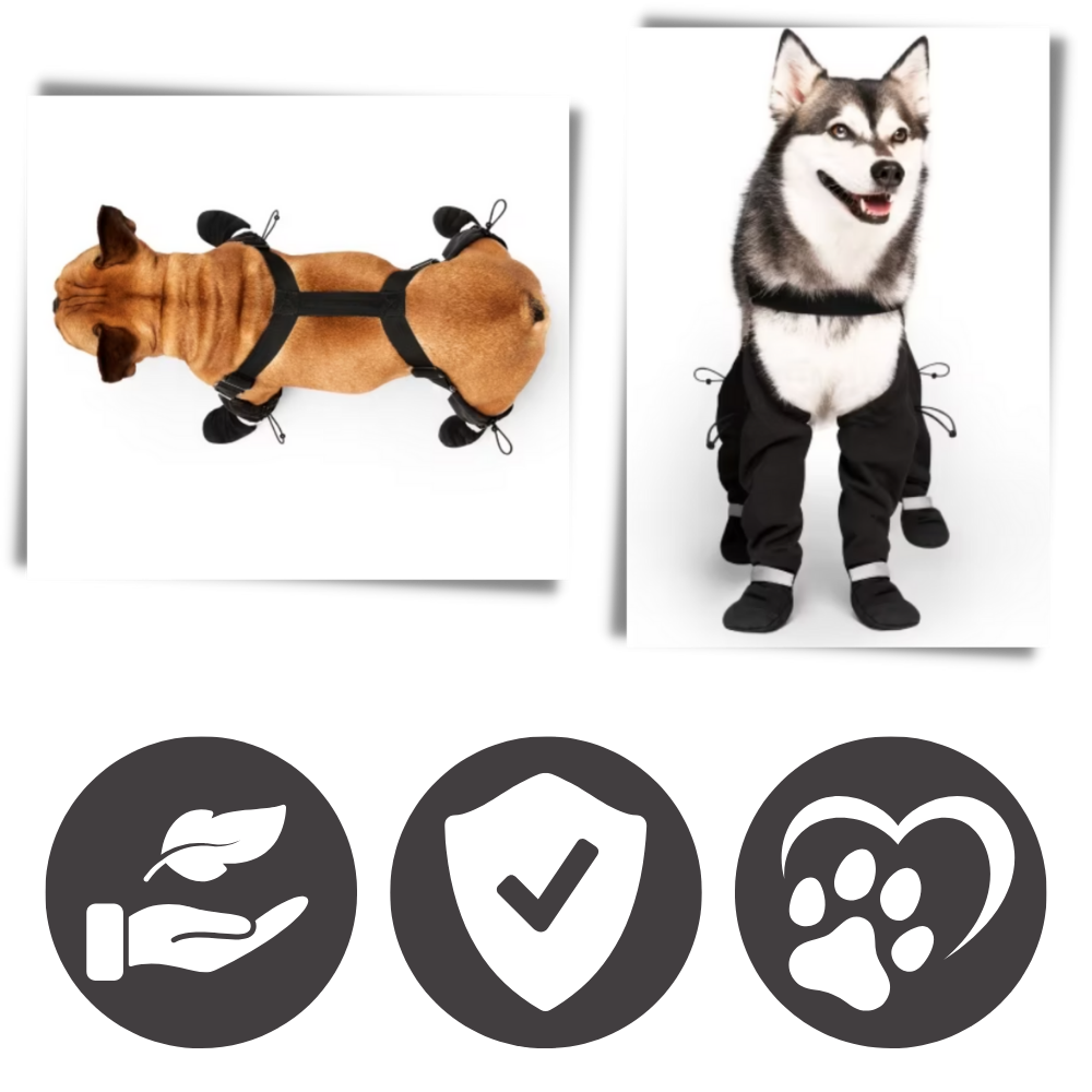 Bottes à bretelles impermeáveis para cães, acessório para proteção contra água, com tirantes ajustáveis e sola antiderrapante.