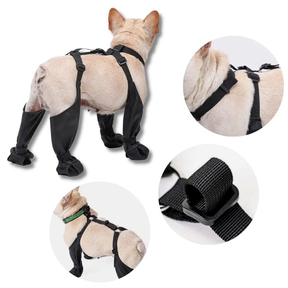 Bota impermeável com suspensórios para cães, acessório de proteção para patas, da marca Canine Care Products, LLC.