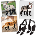 Bottes à bretelles imperméáveis para cães da Canine Care Products, LLC, mostrando detalhes do acessório para proteção contra água.