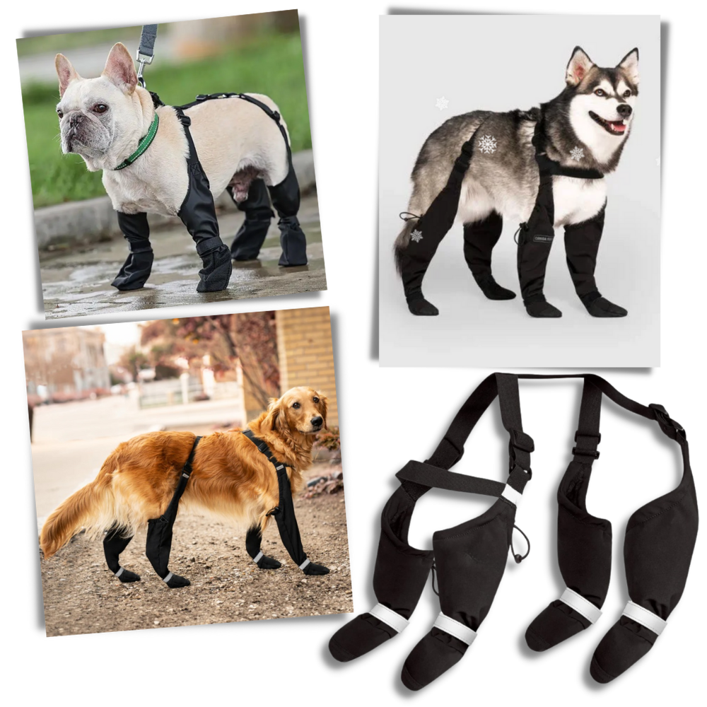 Bottes à bretelles imperméáveis para cães da Canine Care Products, LLC, mostrando detalhes do acessório para proteção contra água.