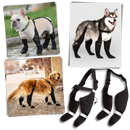 Bottes à bretelles imperméáveis para cães da Canine Care Products, LLC, mostrando detalhes do acessório para proteção contra água.