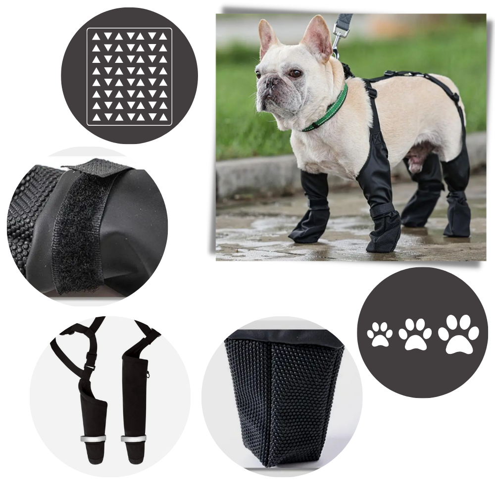 Bottes à bretelles imperméáveis para cães, acessório de proteção para patas, da marca Canine Care Products, LLC.