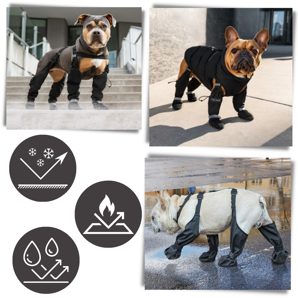 Bottes à bretelles imperméáveis para cães, acessórios de proteção para cães, marca Canine Care Products, LLC