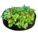 Sac de plantation respirante e resistente Worallymy, ideal para jardinagem, com 60x20 cm de capacidade e uso versátil.