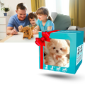 Robô brinquedo cão Shih Tzu em smoking da marca Xanovooo, adorável e detalhado, ideal para colecionadores e crianças.
