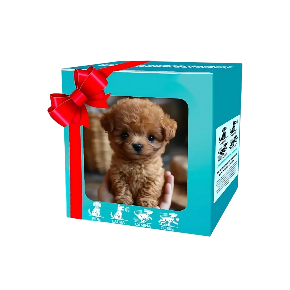 Boneco robô de brinquedo Xanovooo, chaton ou filhote, com design fofo de cão Shih Tzu em estilo smoking.
