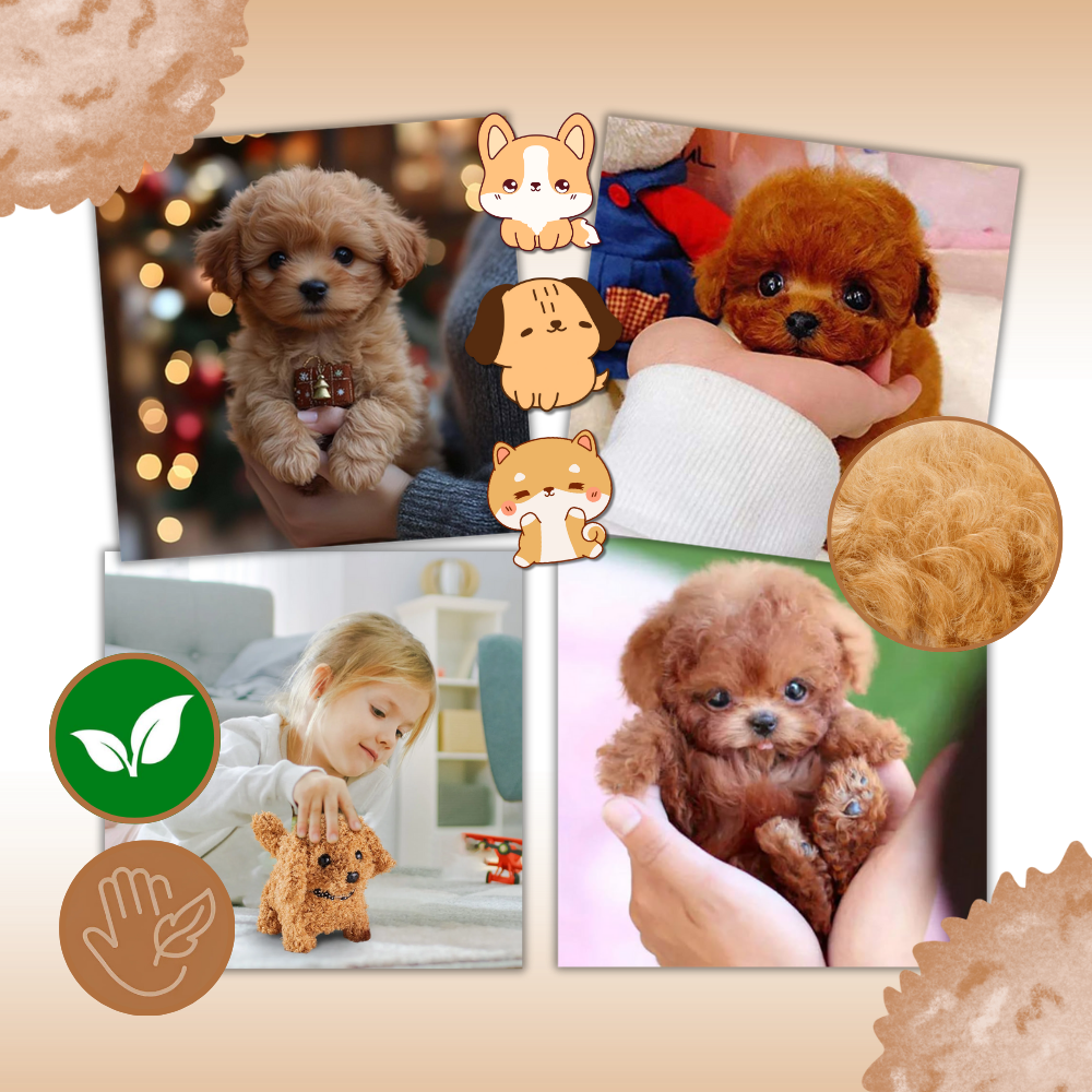Robô de brinquedo chaton/chiot da Xanovooo, modelo Shih Tzu em smoking, com detalhes fofos e realistas.
