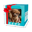 Robô de brinquedo Xanovooo, chaton ou cachorro Shih Tzu em smoking, com aparência adorável e detalhes realistas.