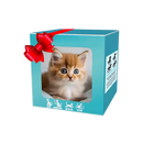 Boneco robô de brinquedo da Xanovooo, cachorro Shih Tzu em smoking, com aparência adorável de robô chaton ou chiot.