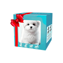 Robô de brinquedo Xanovooo de cachorro Shih Tzu em smoking, design fofo de robô chaton ou chiot para crianças.