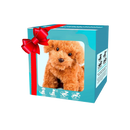 Boneco de robô cão Shih Tzu e gato em smoking, brinquedo de robô da marca Xanovooo, com detalhes fofos e realistas.